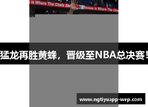 猛龙再胜黄蜂，晋级至NBA总决赛！