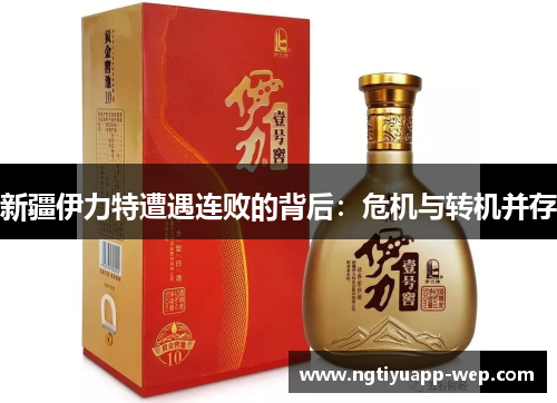 新疆伊力特遭遇连败的背后：危机与转机并存