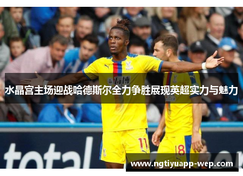 水晶宫主场迎战哈德斯尔全力争胜展现英超实力与魅力