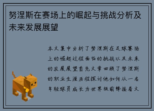 努涅斯在赛场上的崛起与挑战分析及未来发展展望